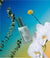 The Make My Day Cream